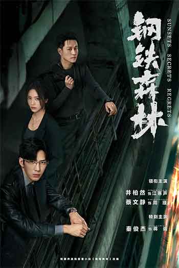 2026剧情犯罪《钢铁森林》1080p.2160p.HD国语中字无水印.mkv